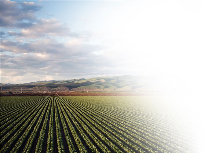 A wide field of farm land